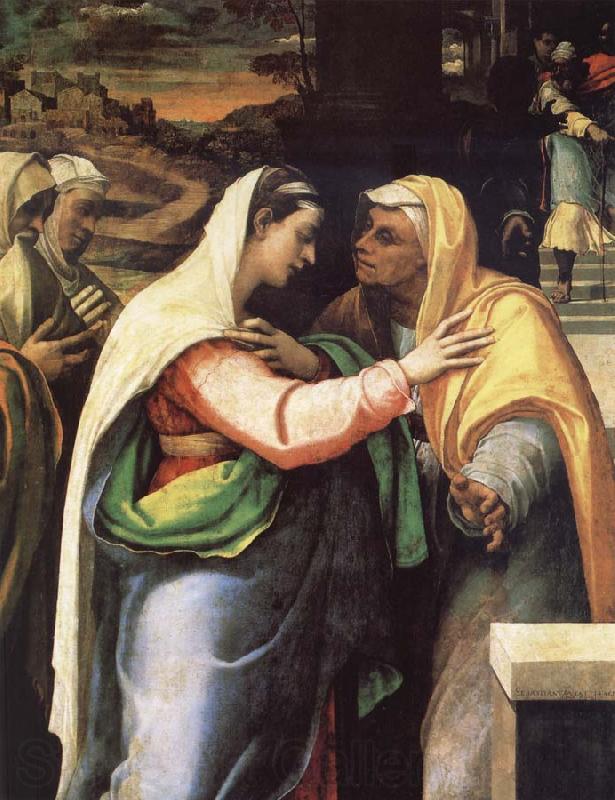 Sebastiano del Piombo The Visitacion France oil painting art